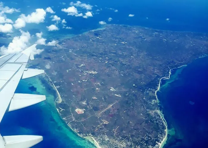 R & D Island
